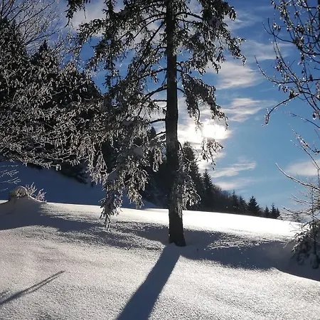 Apartment Haus Frassen